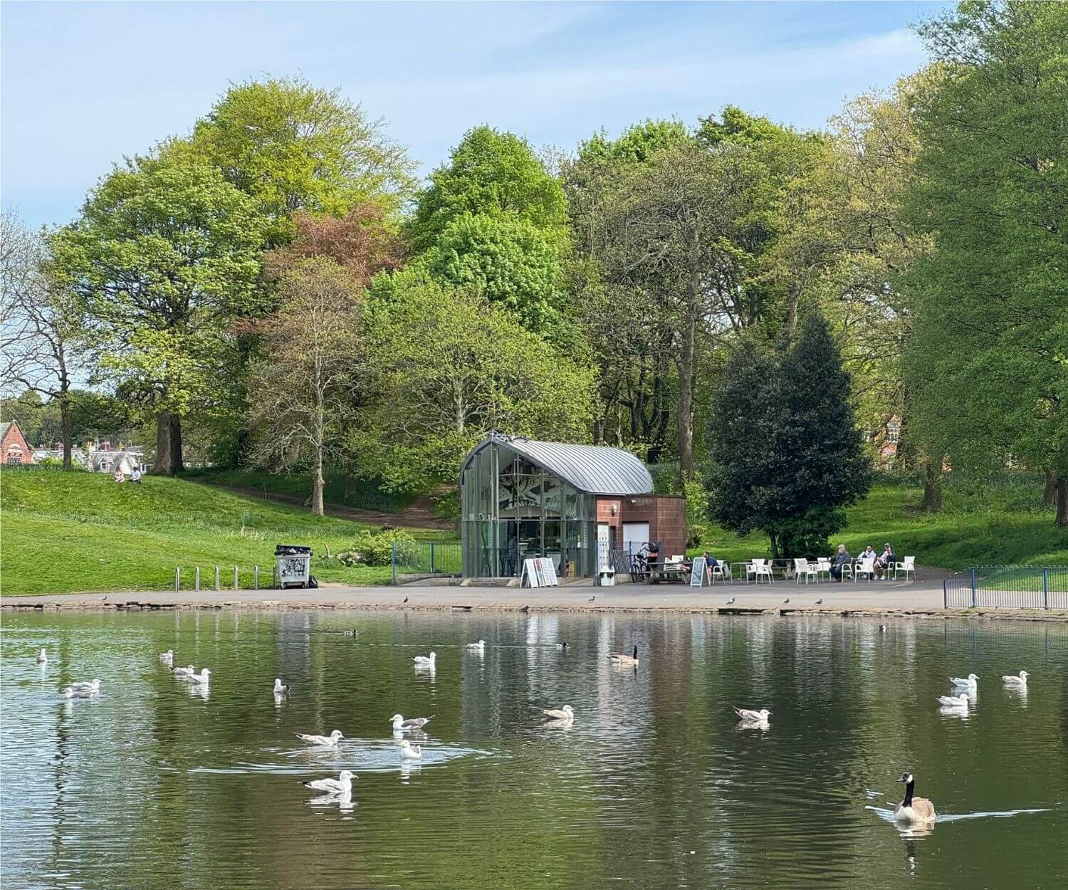 The boating lake and cafe on Sefton Park in Aigburth, popular with young professionals looking for fresh air and exercise