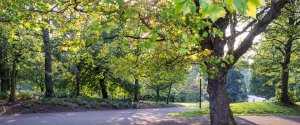 Sefton Park in Aigburth Liverpool with green lawns and walking paths on a sunny day